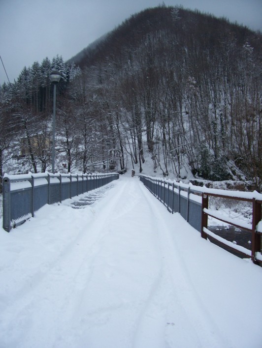  Image name: molino 2008 291.jpg 
 width: 532 pixel 
 height: 708 pixel 
 Size: 88660 bytes 
 Click to enlarge 